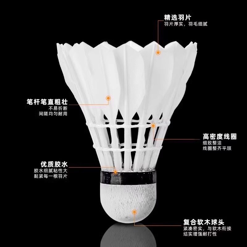 Lion Badminton Federbälle aus  – Badminton Bwf Bewertung und Preis