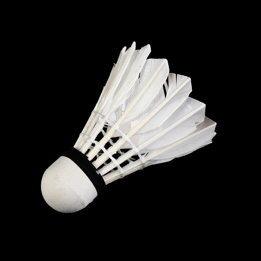Elastische, Extrem Langlebige  – Badminton Bwf Bewertung und Preis
