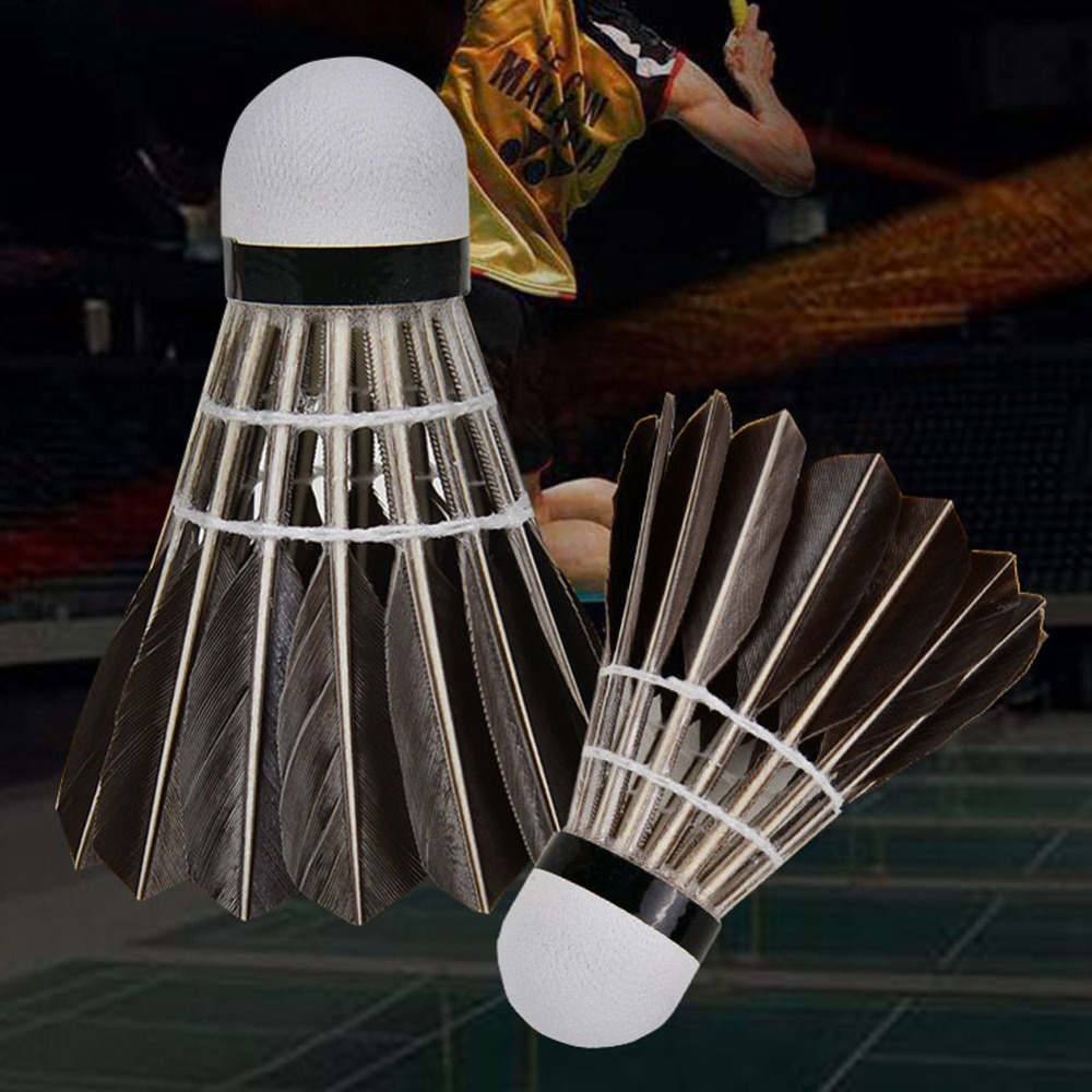 3/6/12 Stück Zubehör Stabile S – Badminton Bwf Bewertung und Preis